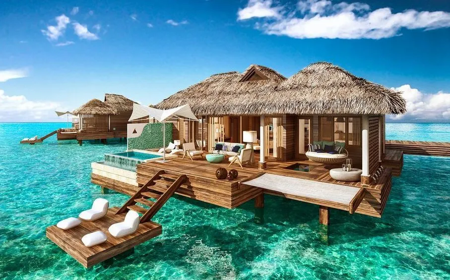 /img/10022-forest-honeymoon-benefits.webp