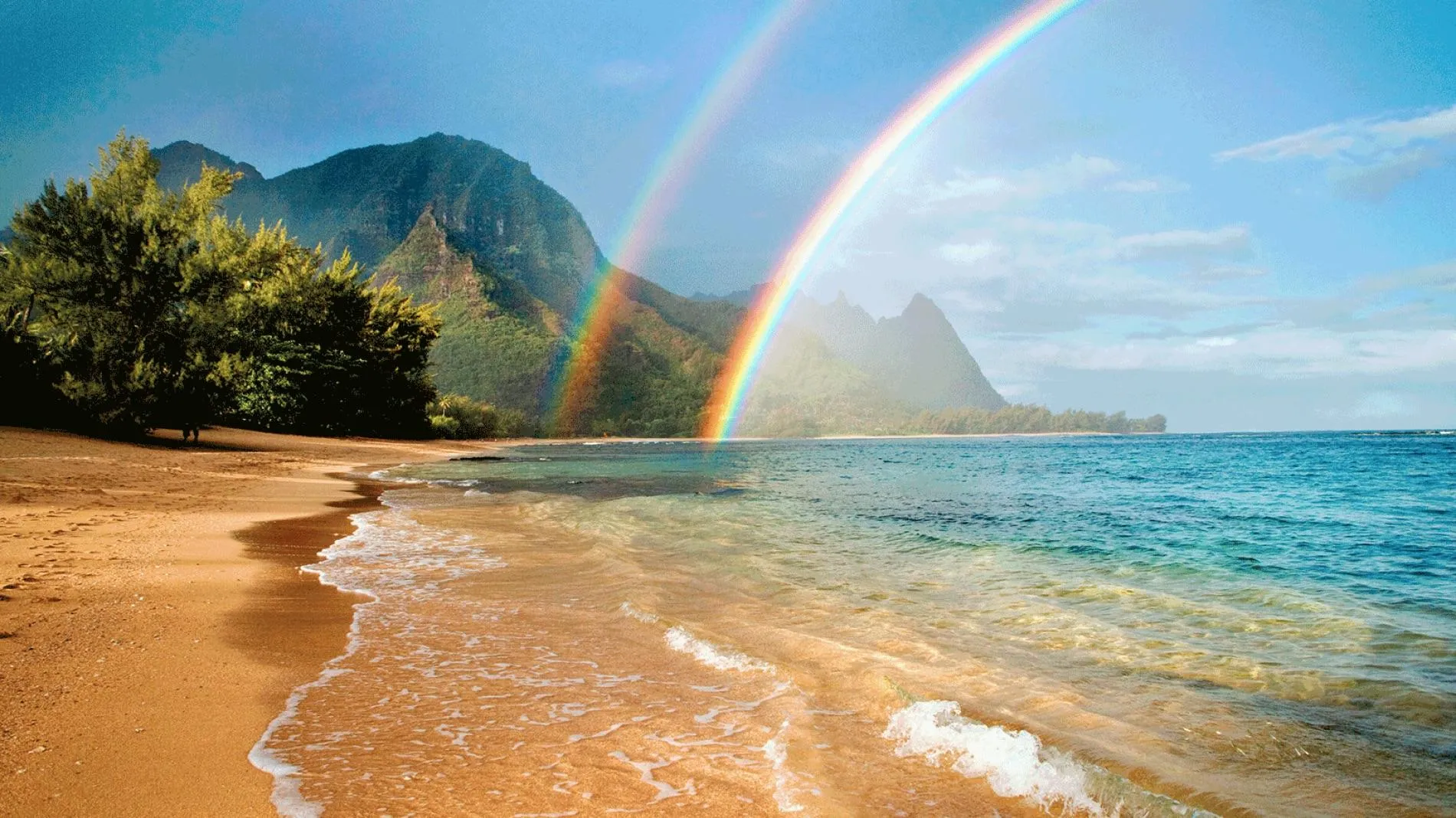 10039 hawaii honeymoon beach