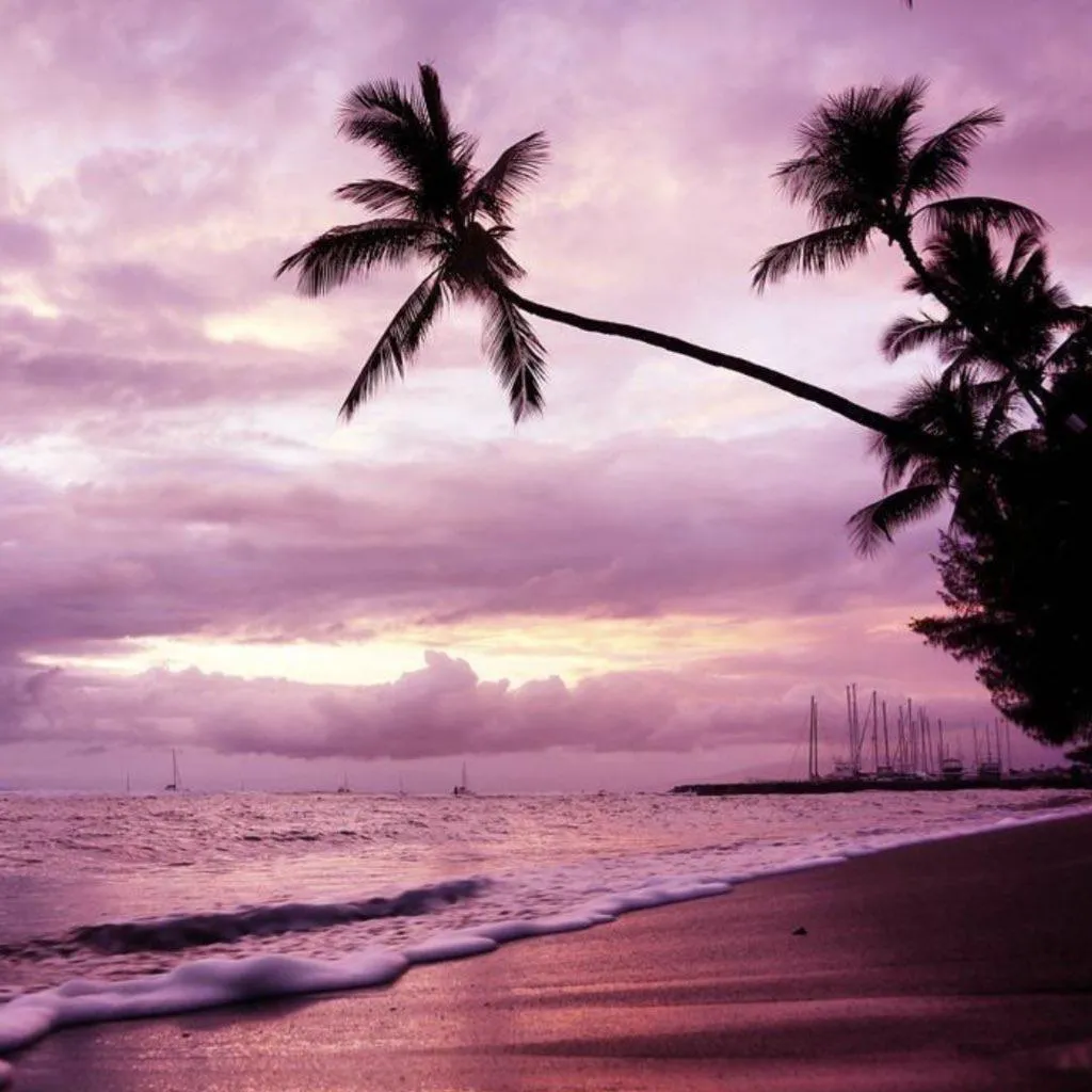 /img/10039-hawaii-honeymoon-packing.webp