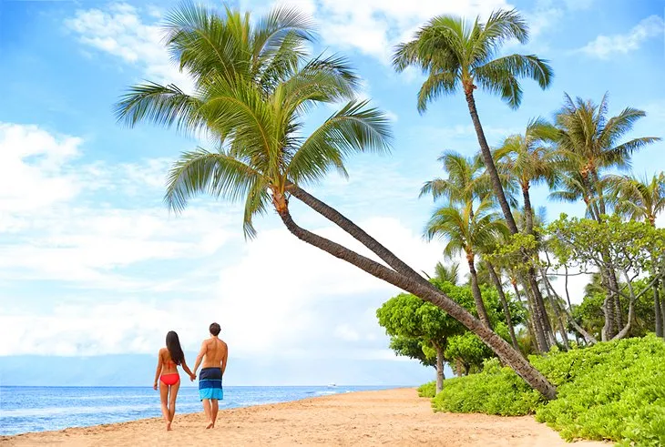 10061 couple honeymoon hawaii