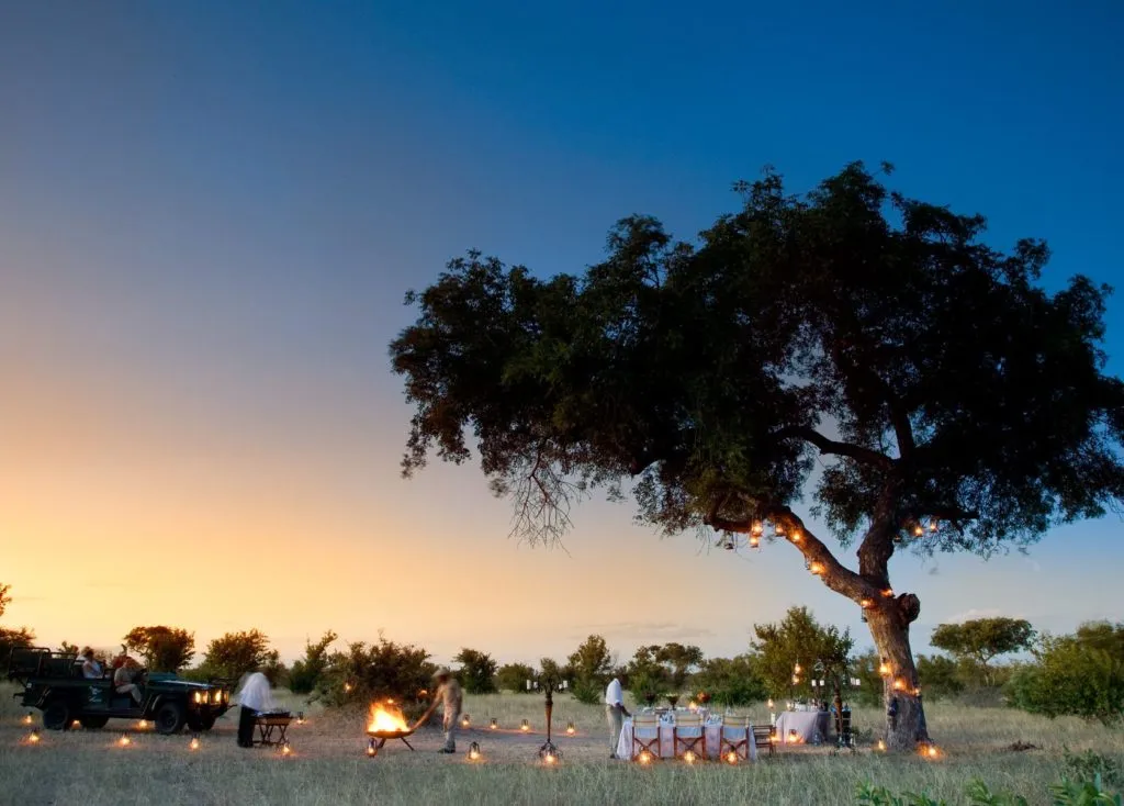 10063 romantic safari activities