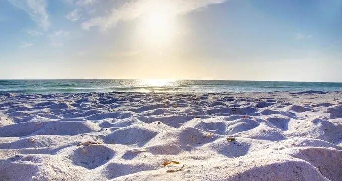 10091 amelia island honeymoon