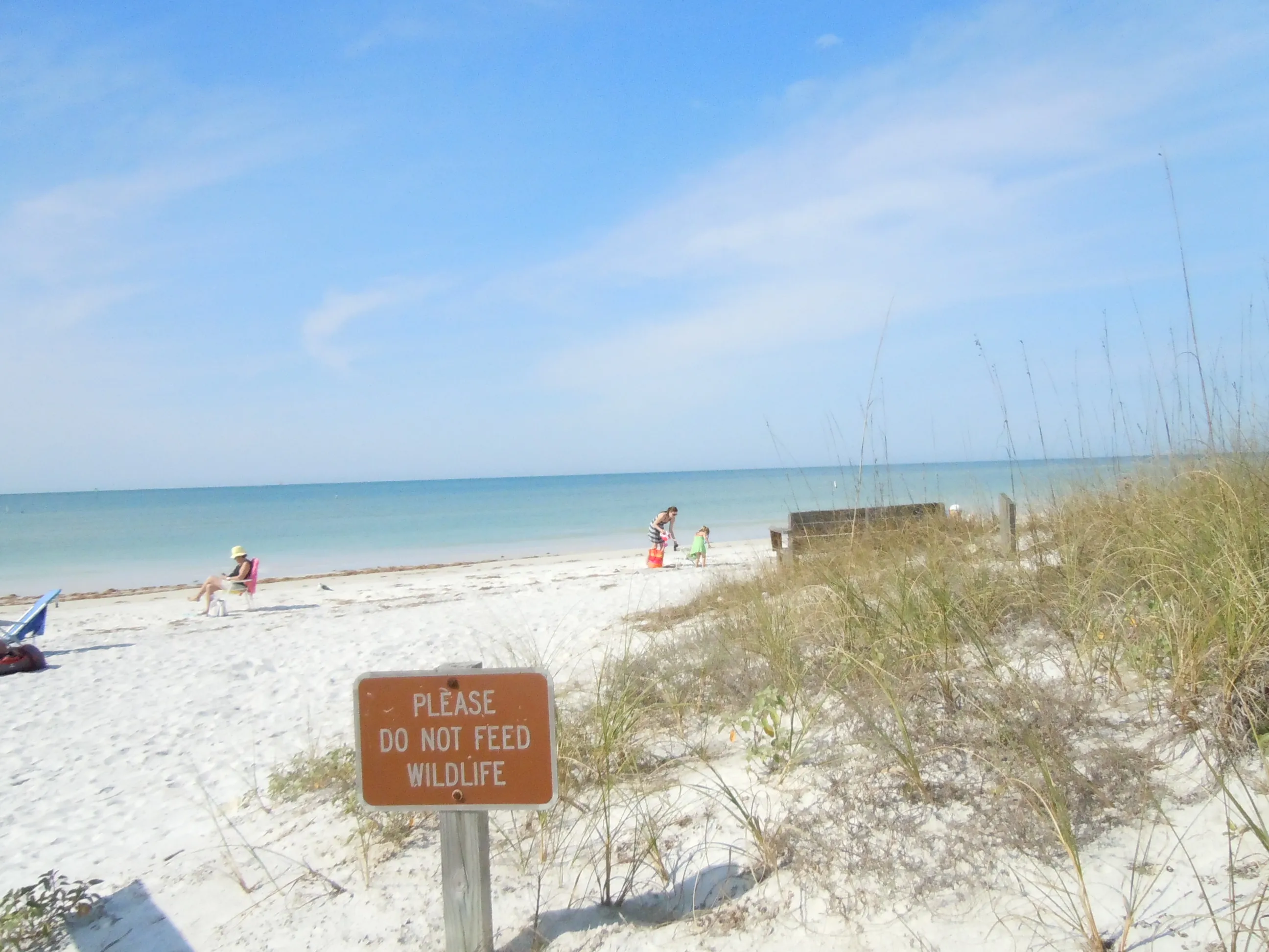 10133 honeymoon island trails