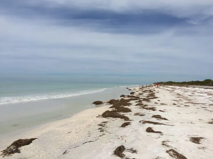 10156 florida honeymoon beaches overview