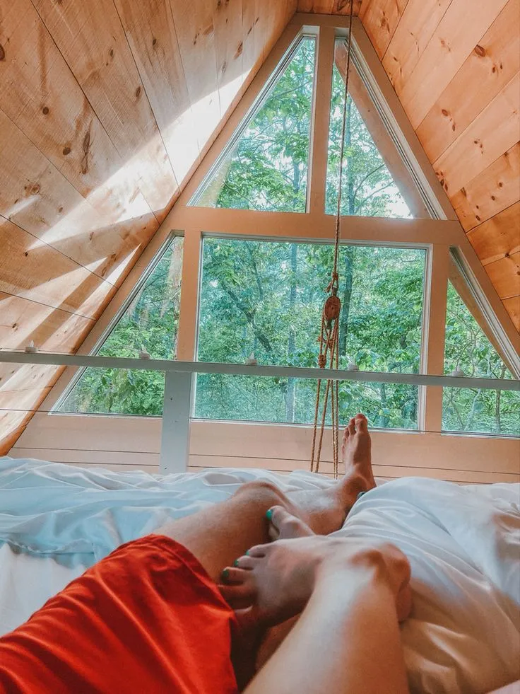 10222 treehouse honeymoon essentials