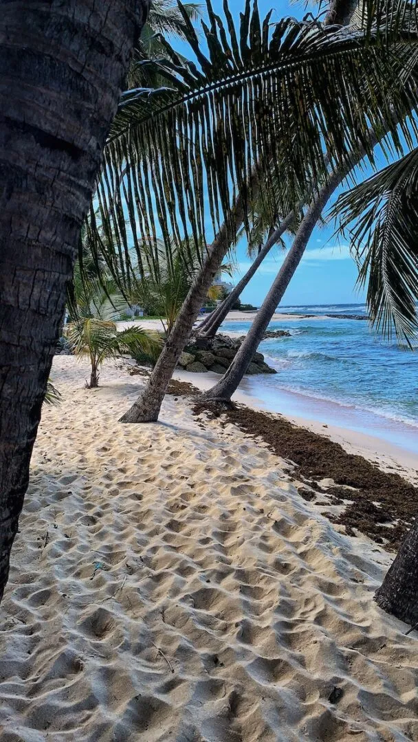 10271 maldives honeymoon