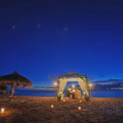 /img/10272-packing-for-honeymoon.webp