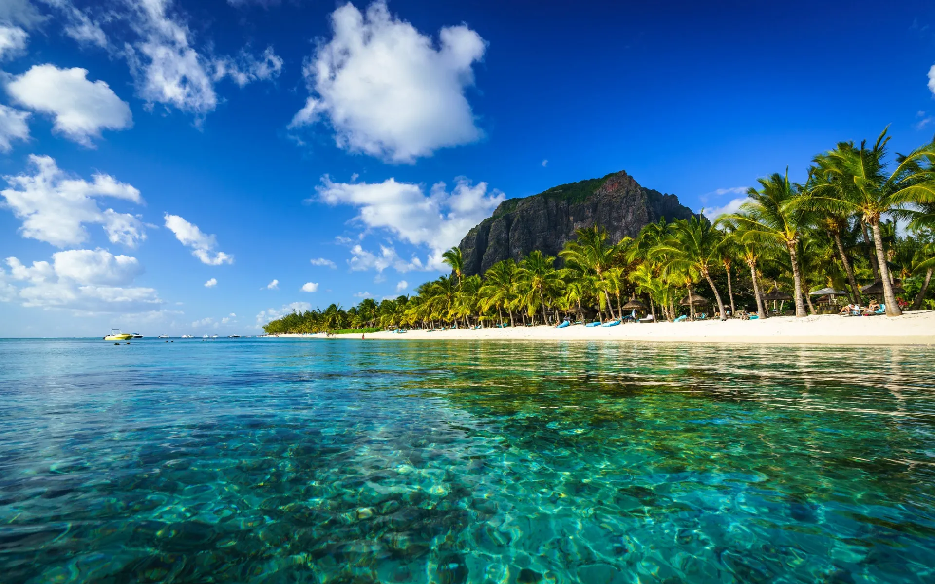 10284 maldives honeymoon
