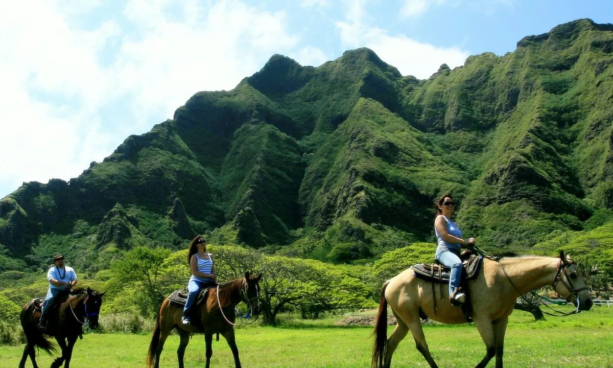10286 hawaii honeymoon dinner