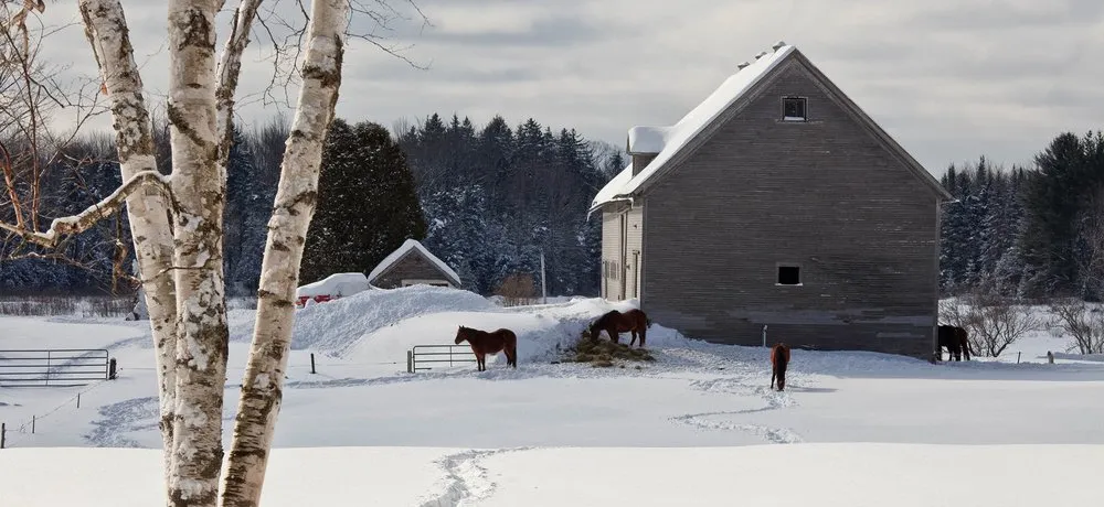 10331 vermont honeymoon image1